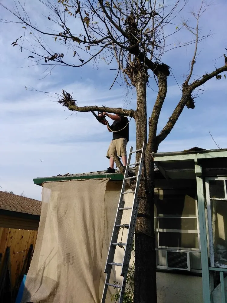 Professional landscaping services for homes in Lodi, CA by ADR Landscaping