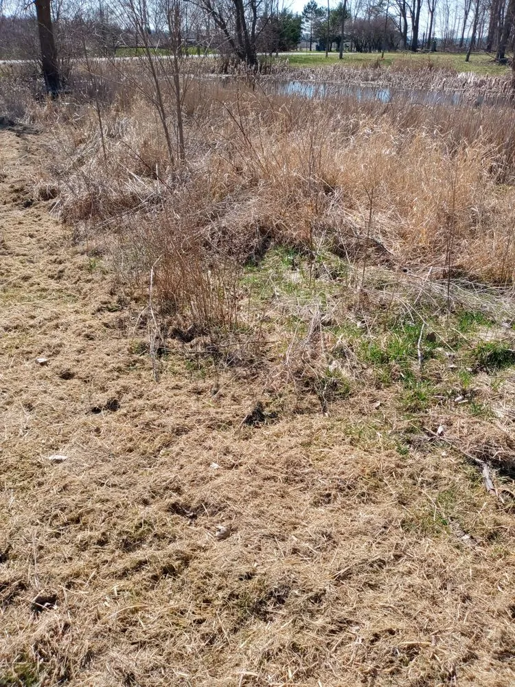 Local landscaping services near you across Medway, OH - AD&R Properties