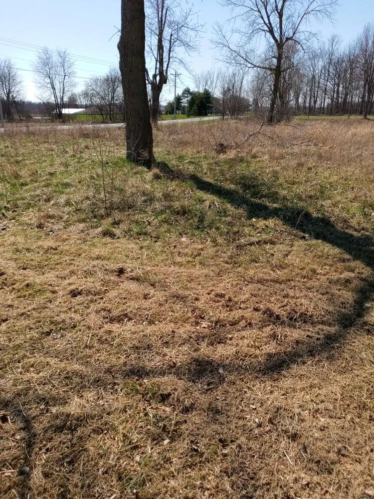 Custom lawn care service experts serving Medway, OH - AD&R Properties
