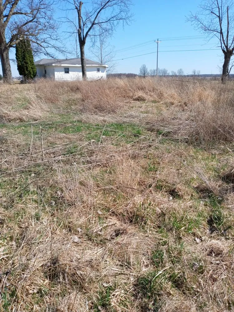 Local landscape design for residential properties in Medway, OH by AD&R Properties