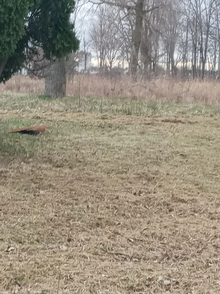 Affordable residential landscaping for beautiful yards across Medway, OH - AD&R Properties