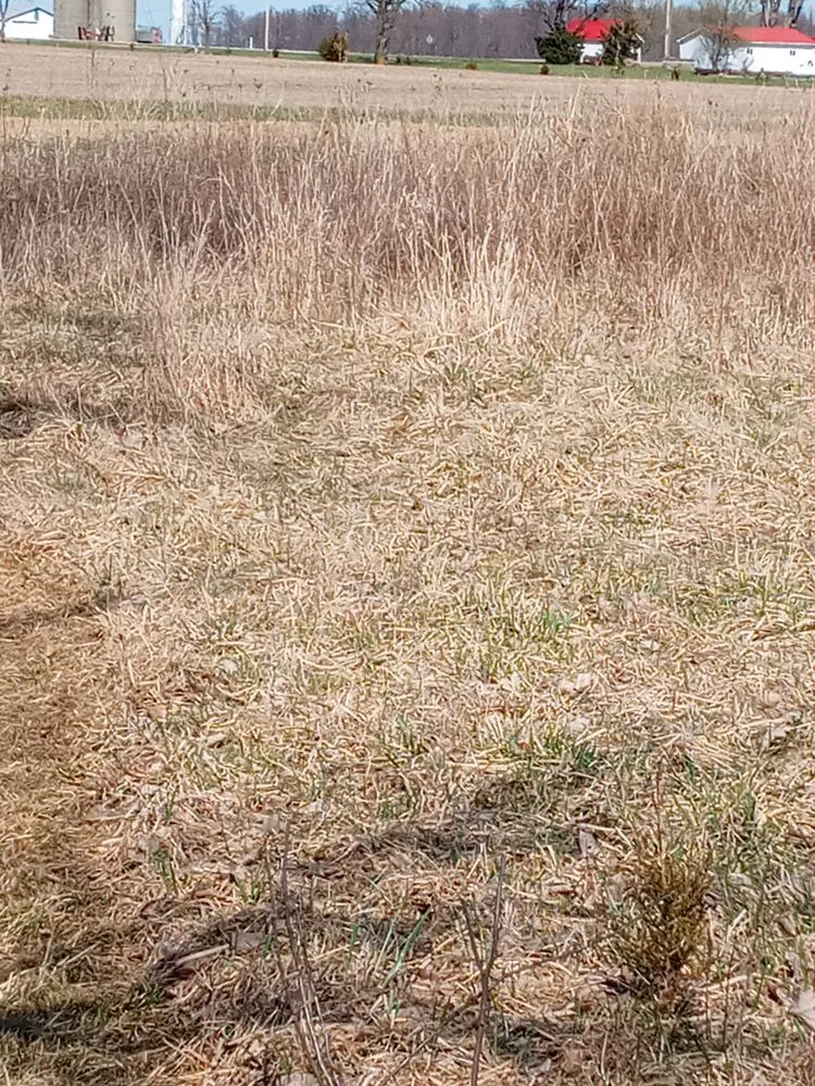 Professional landscape installation in Medway, OH by AD&R Properties