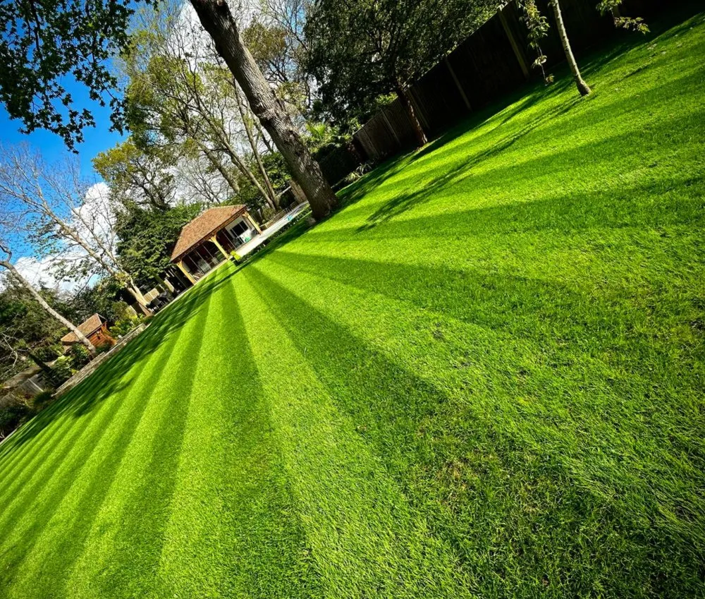 Expert landscape installation for outdoor upgrades across Ukiah, CA - Adrian & Mendozas Mechanic Landscaping & Tree Service