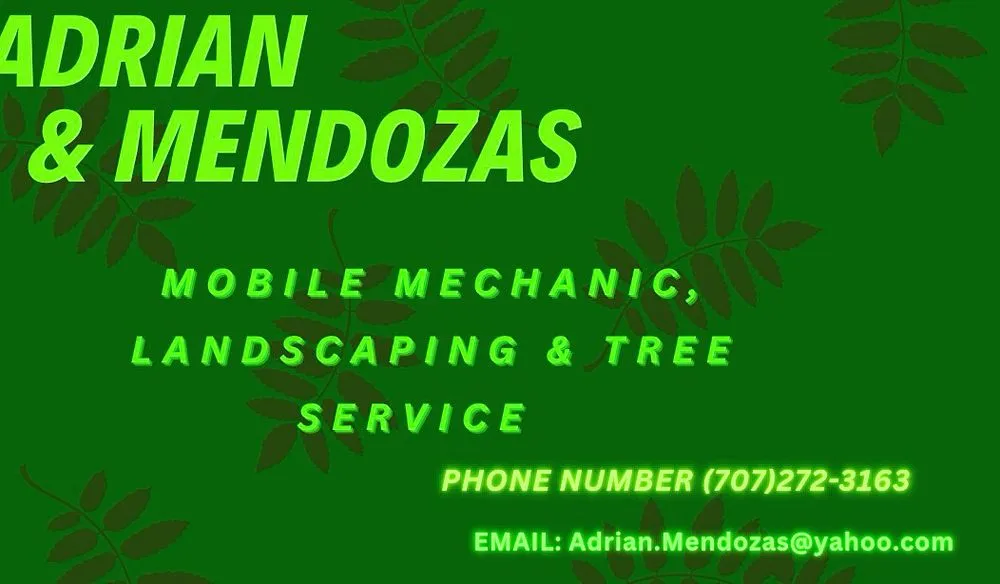 Reliable outdoor landscaping near you across Ukiah, CA - Adrian & Mendozas Mechanic Landscaping & Tree Service