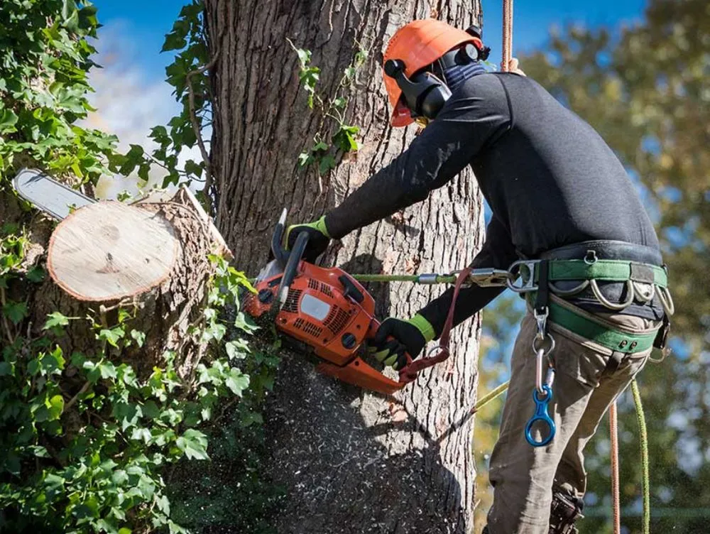Expert landscape installation for homes across Ukiah, CA - Adrian & Mendozas Mechanic Landscaping & Tree Service