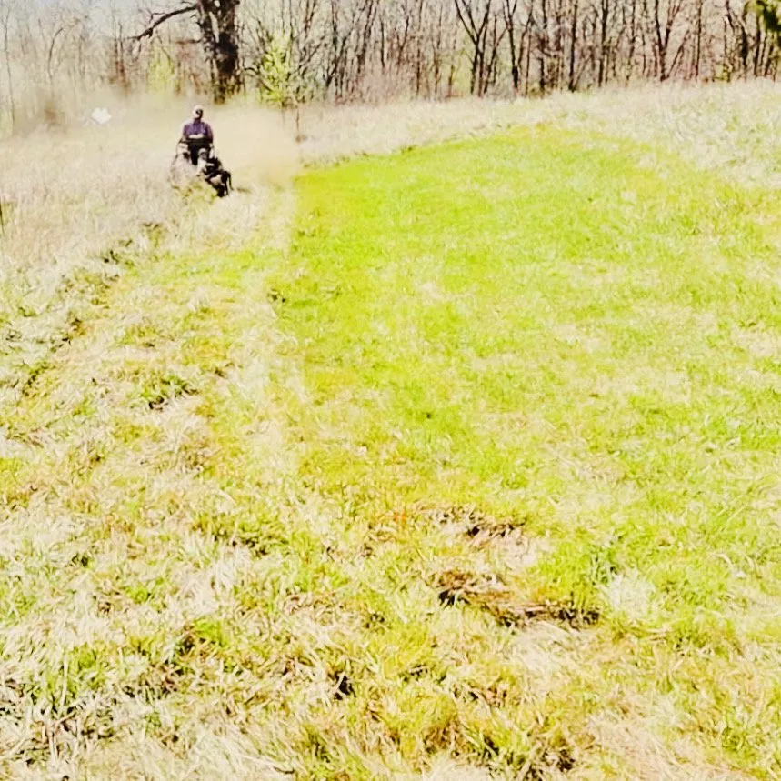 Custom lawn mowing service near you in Ukiah, CA by Adrian & Mendozas Mechanic Landscaping & Tree Service