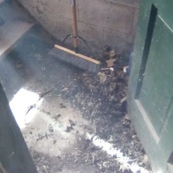 Affordable yard cleanup service in Stamford, CT - Adrian And Crew Moving & Property Management