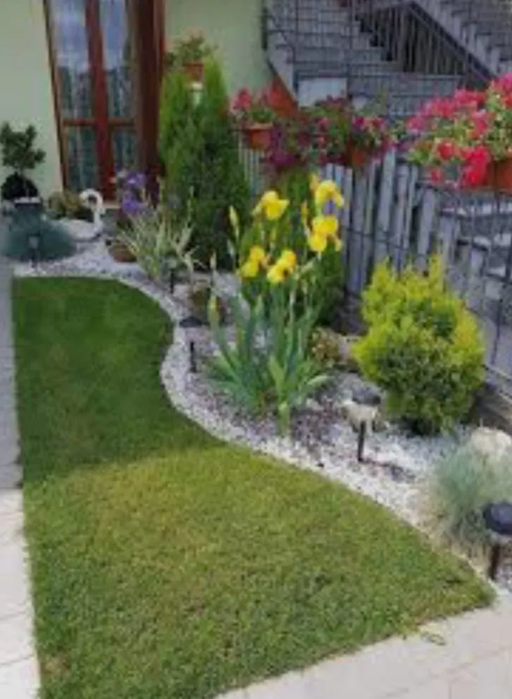 Trusted yard maintenance for year-round maintenance across Elgin, TX - Adrian Garcias