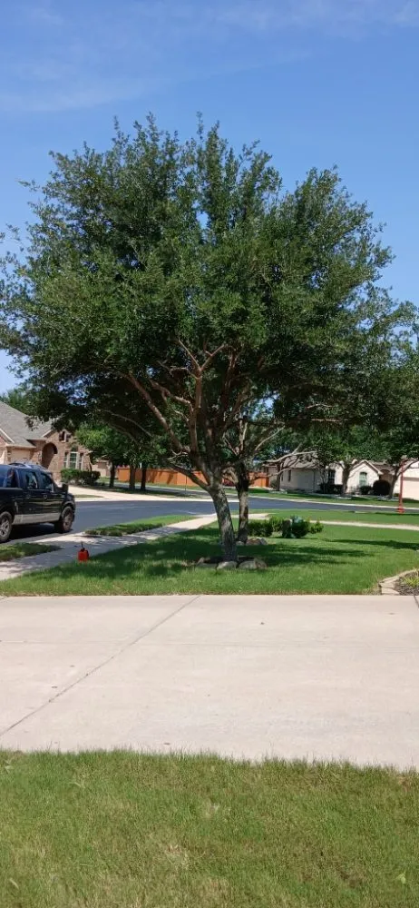 Local yard maintenance in Elgin, TX - Adrian Garcias