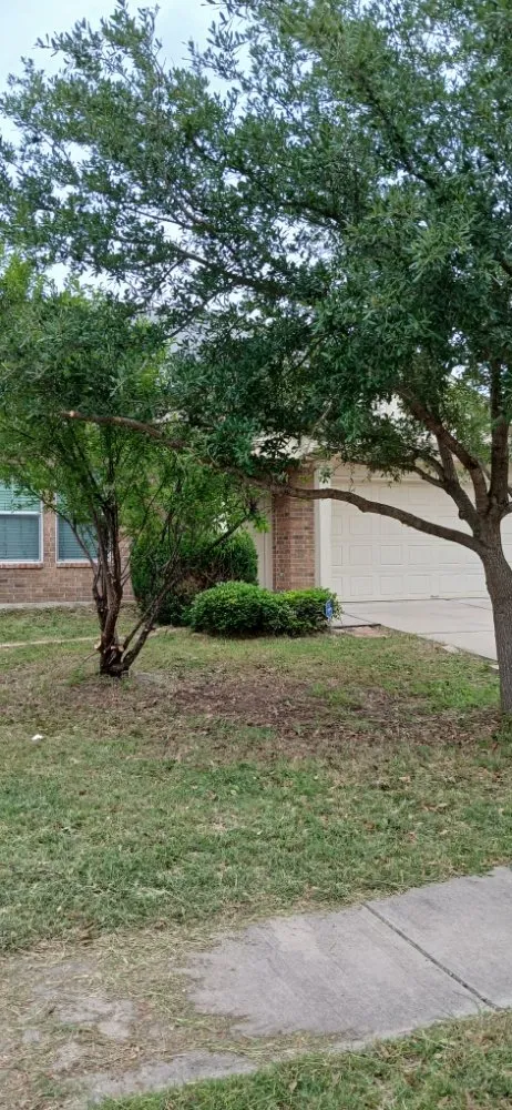 Custom landscape installation in Elgin, TX - Adrian Garcias