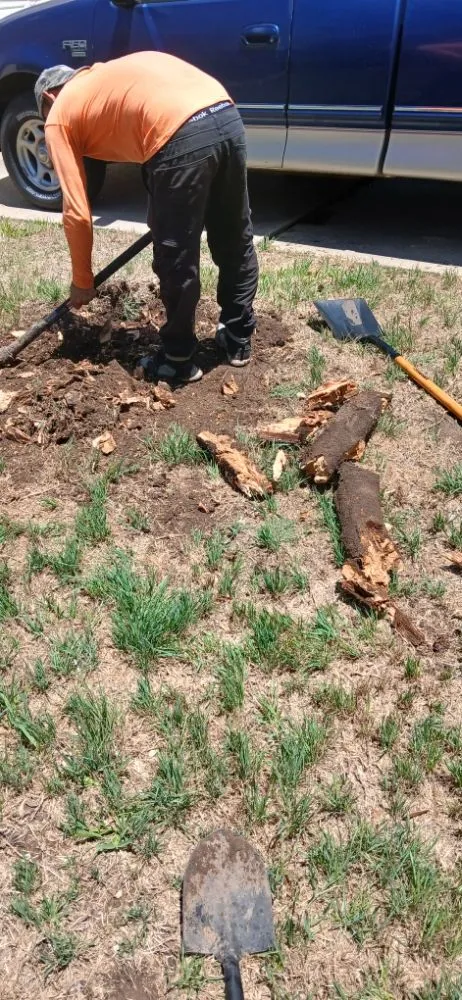 Local landscape installation in Elgin, TX by Adrian Garcias