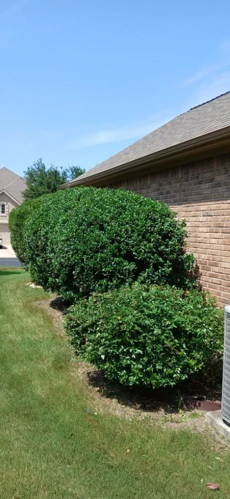 Top-rated landscape design in Elgin, TX - Adrian Garcias