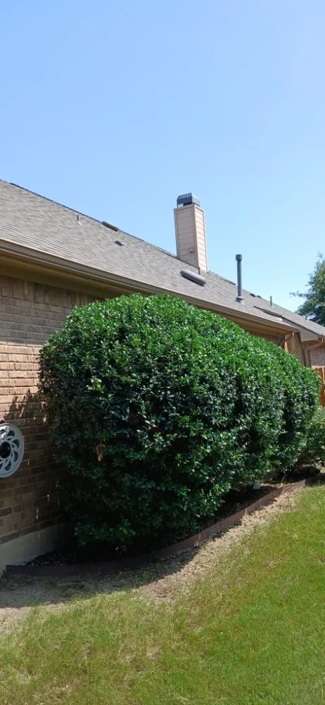 Local outdoor landscaping in Elgin, TX - Adrian Garcias