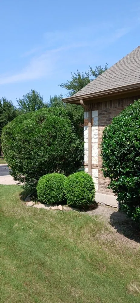 Professional outdoor landscaping in Elgin, TX - Adrian Garcias