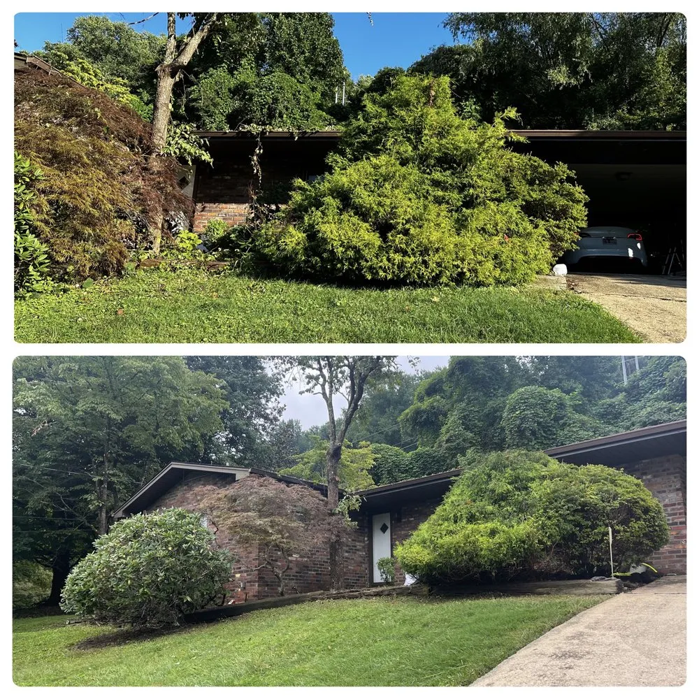 Local landscaping services in Powell, TN by Adrian Landscape & Tree Service