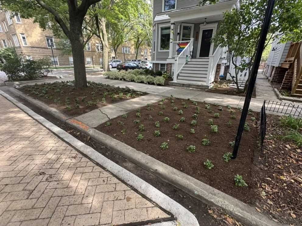 Professional yard maintenance for beautiful yards in Niles, IL by Adrian Landscape and Hardscape