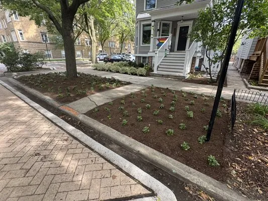 Adrian Landscape and Hardscape