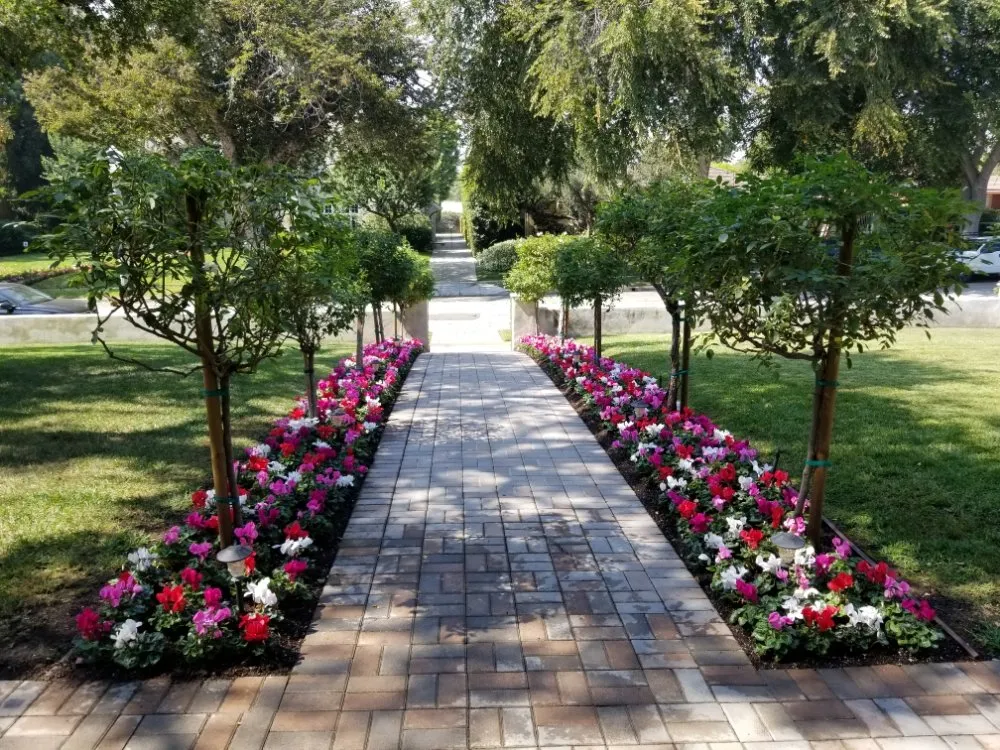 Custom garden landscaping in Los Angeles, CA by adrian landscape