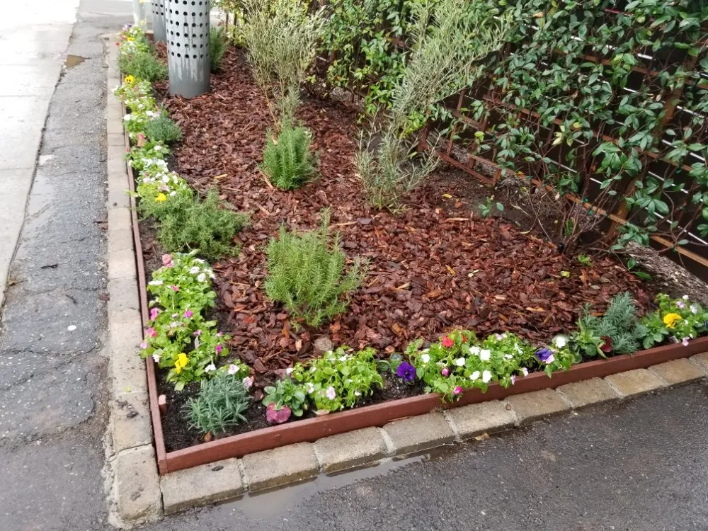 Professional yard maintenance near you across Los Angeles, CA - adrian landscape