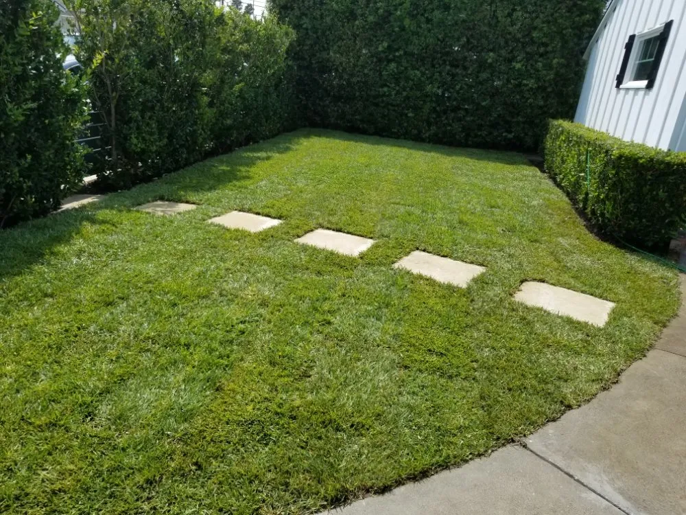 Custom yard cleanup service experts serving Los Angeles, CA - adrian landscape