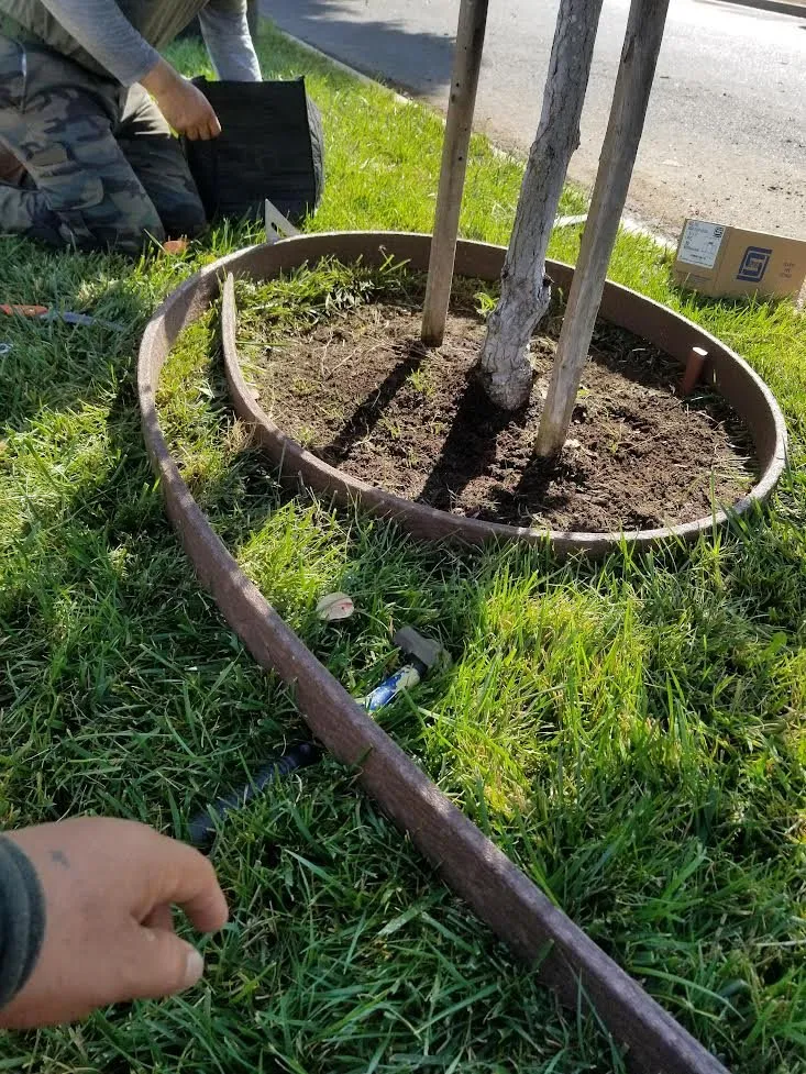 Trusted landscape design experts serving Los Angeles, CA - adrian landscape