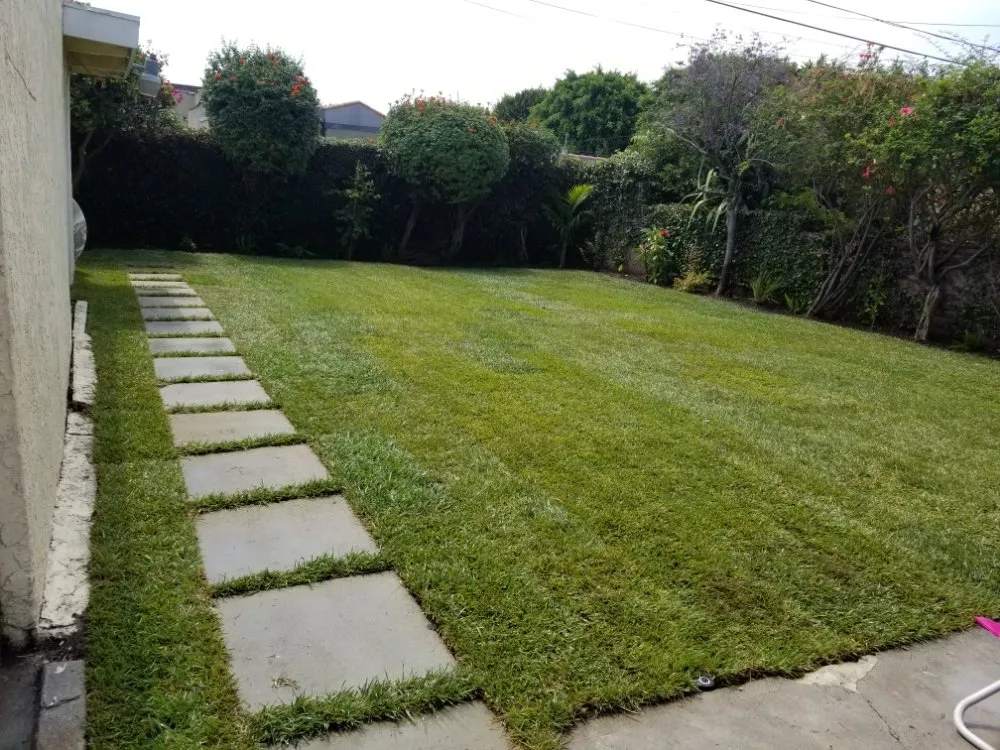 Expert garden landscaping in Los Angeles, CA - adrian landscape