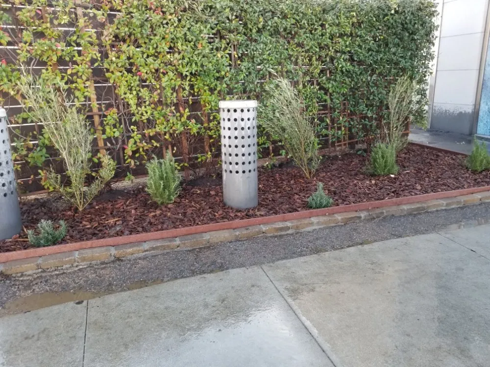 Custom lawn care service for year-round maintenance in Los Angeles, CA by adrian landscape