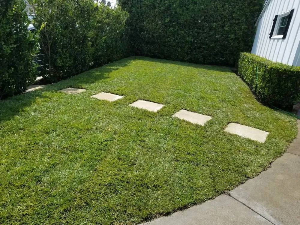 Reliable lawn care service in Los Angeles, CA by adrian landscape