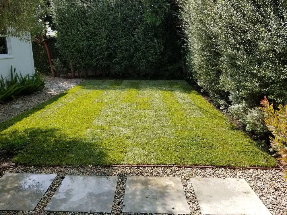 Trusted landscape design in Los Angeles, CA by adrian landscape