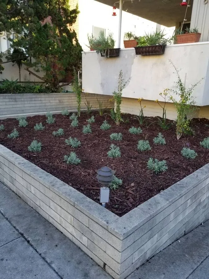 Expert lawn mowing service near you across Los Angeles, CA - adrian landscape