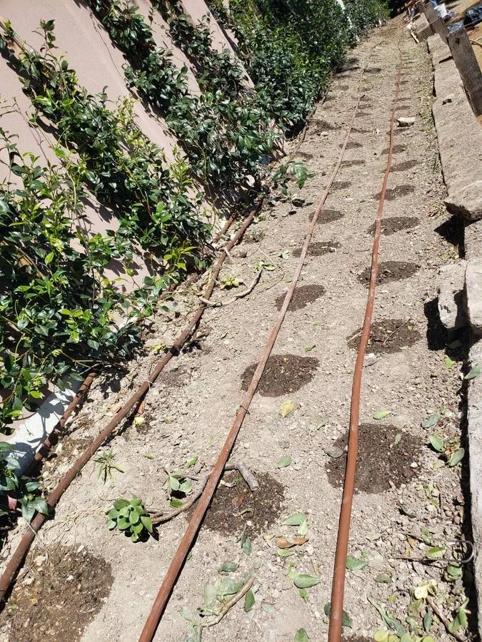 Professional lawn care service experts serving Los Angeles, CA - adrian landscape