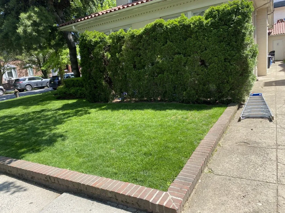 Affordable yard cleanup service with custom design across Brooklyn, NY - Adrian Landscaping