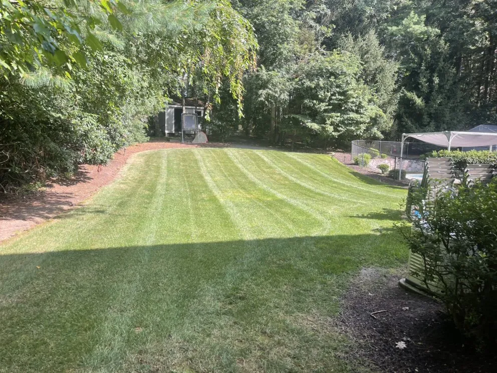 Local garden landscaping with custom design in Stoughton, MA by Adrian Martinez Junk Removal & Demolition