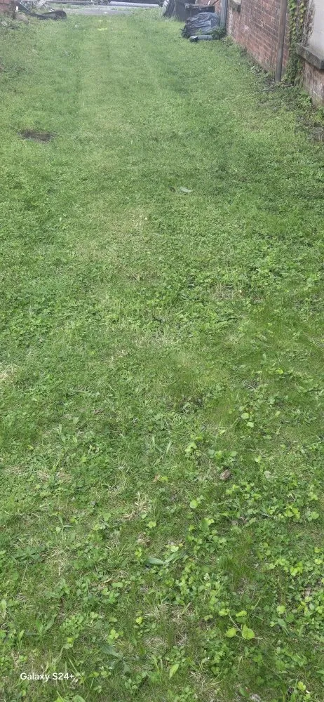 Top-rated landscaping services for outdoor upgrades across Newburgh, NY - Adrian West the Leaf Theaf