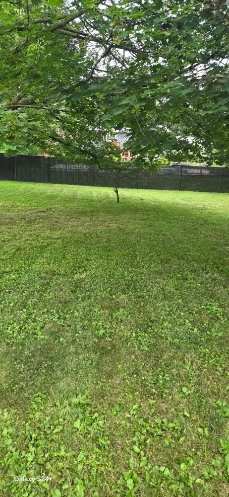 Custom landscape design in Newburgh, NY by Adrian West the Leaf Theaf