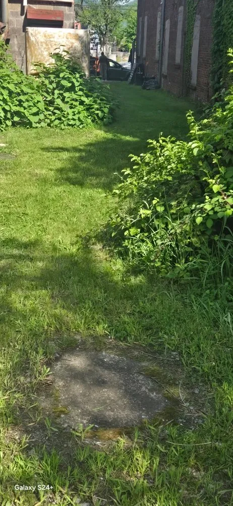 Local lawn mowing service experts serving Newburgh, NY - Adrian West the Leaf Theaf