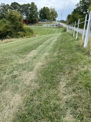 Adrian Yorks Mowing and Pressure Washing Logo