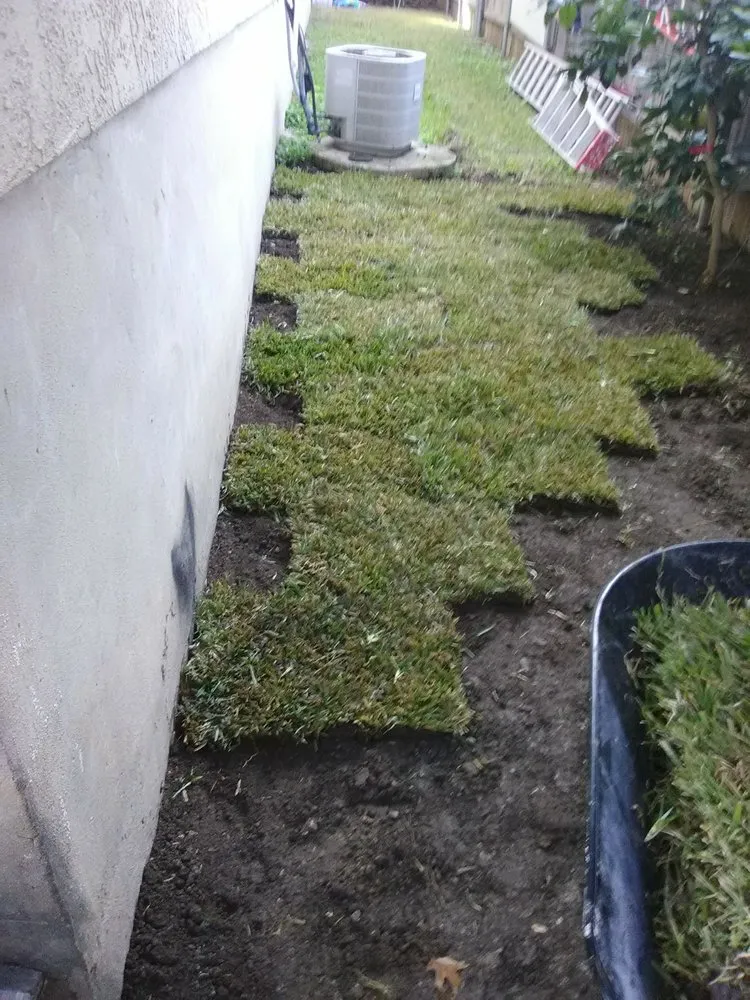 Local landscaping services experts serving San Antonio, TX - Adrian's All Star Services