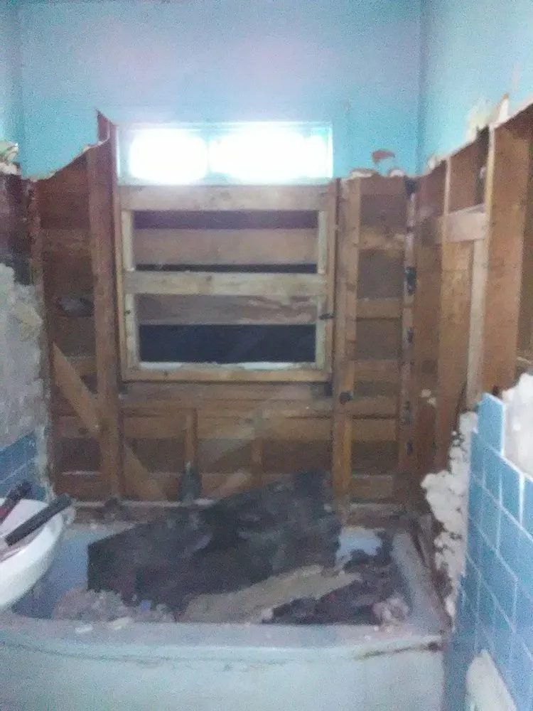 Top-rated yard cleanup service in San Antonio, TX - Adrian's All Star Services