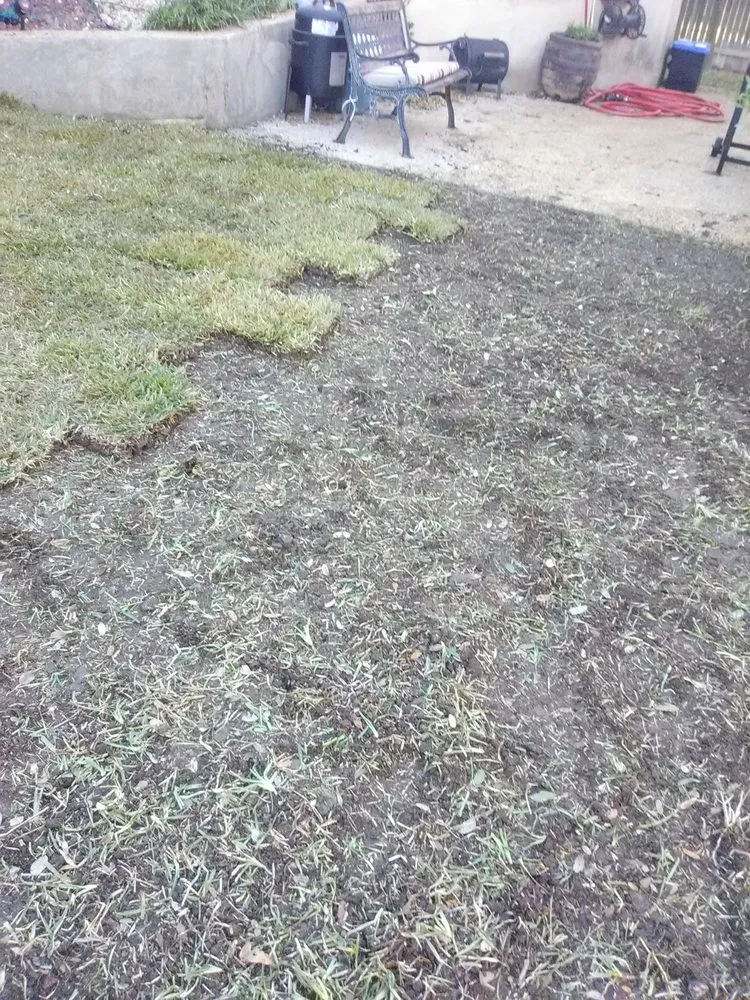 Top-rated yard cleanup service with custom design across San Antonio, TX - Adrian's All Star Services