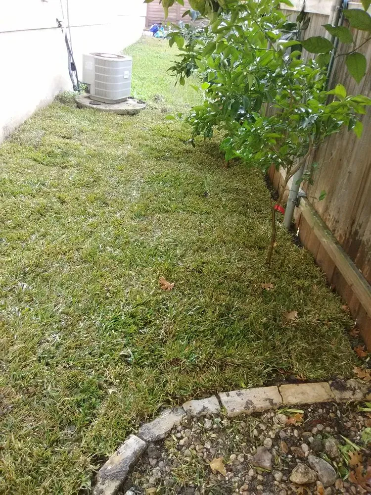 Custom residential landscaping for beautiful yards in San Antonio, TX by Adrian's All Star Services