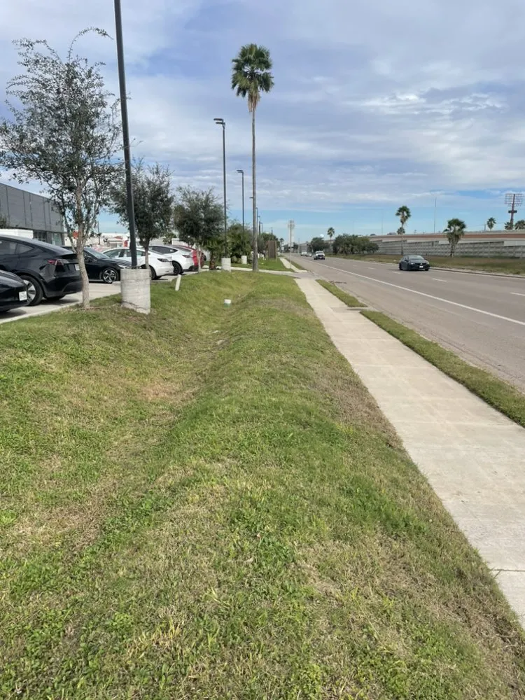 Affordable landscape installation for beautiful yards across San Antonio, TX - Adrian’s Cuts