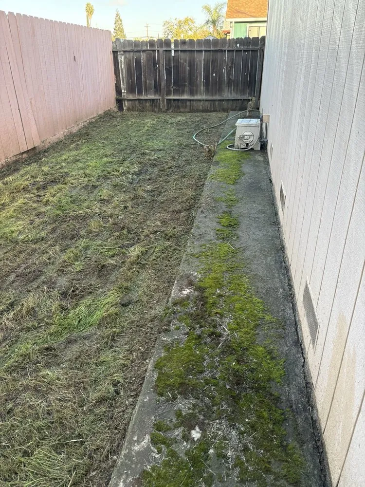 Affordable yard maintenance near you across French Camp, CA - Adrian’s Gardening