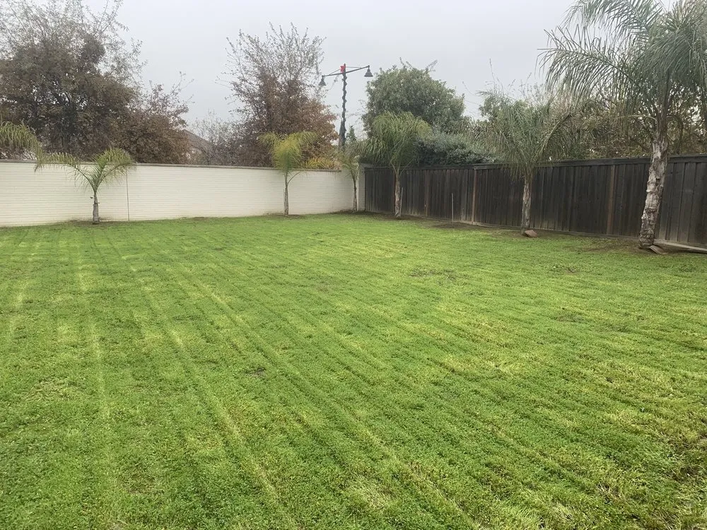 Top-rated lawn mowing service for homes in French Camp, CA by Adrian’s Gardening