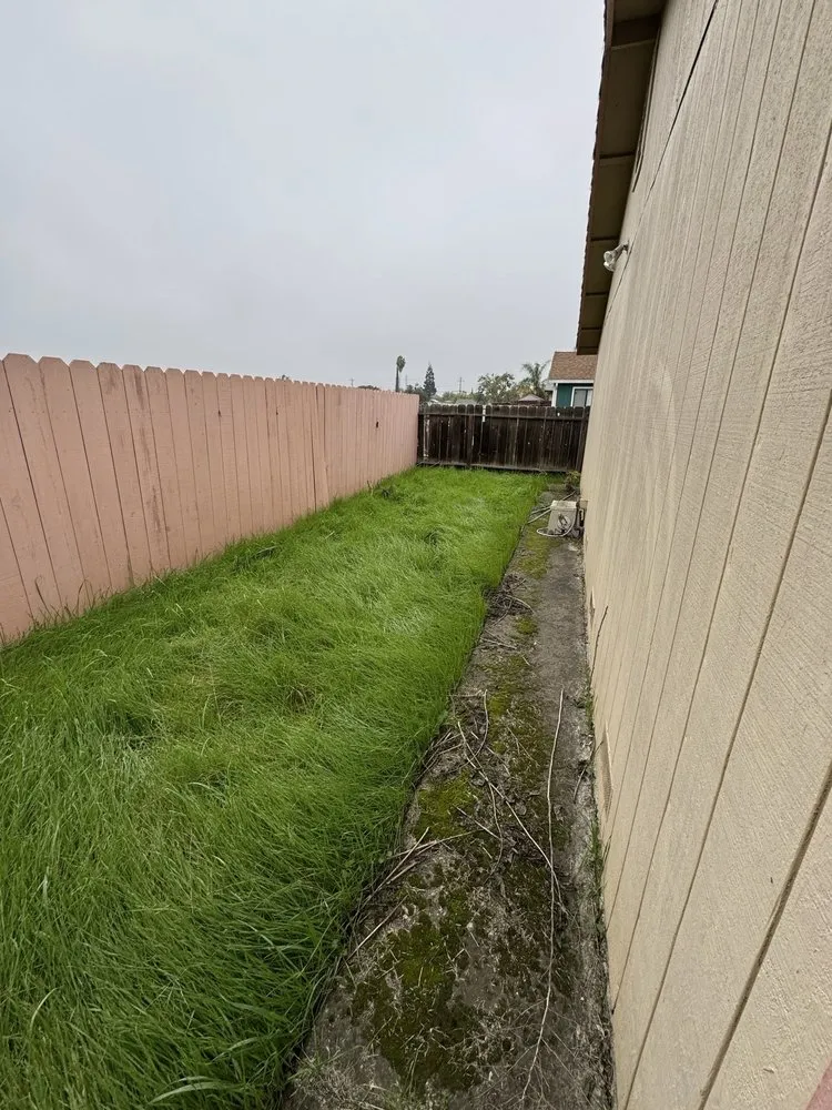 Trusted landscape installation for beautiful yards across French Camp, CA - Adrian’s Gardening