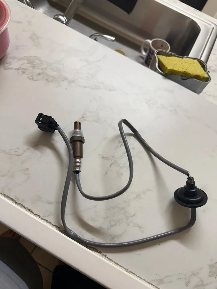 Professional lawn mowing service near you in Lakeland, FL by Adrian's Green Gardens