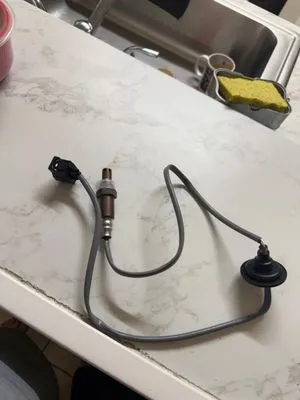 Adrian's Green Gardens Logo