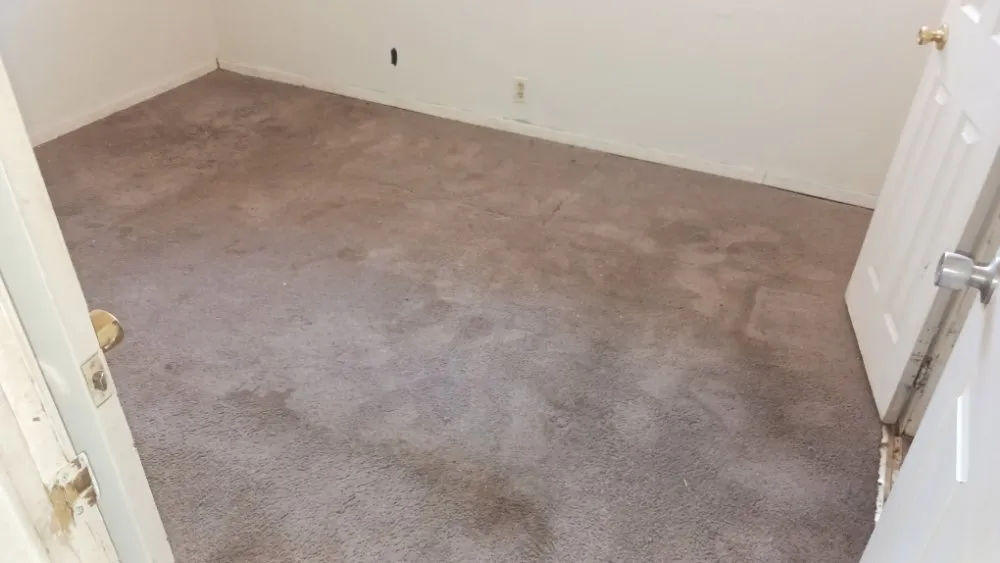 Affordable yard cleanup service with custom design across San Angelo, TX - Adrian's Handyman +