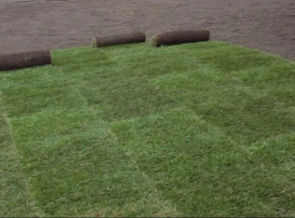 Top-rated residential landscaping for homes in San Angelo, TX by Adrian's Handyman +