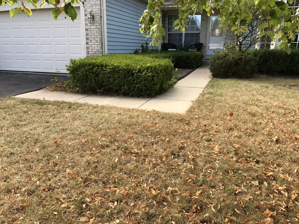 Custom outdoor landscaping for year-round maintenance in Mundelein, IL by Adrian's Landscape